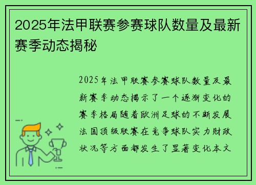 2025年法甲联赛参赛球队数量及最新赛季动态揭秘